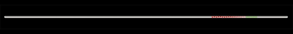 Exchange-Catheter-RV